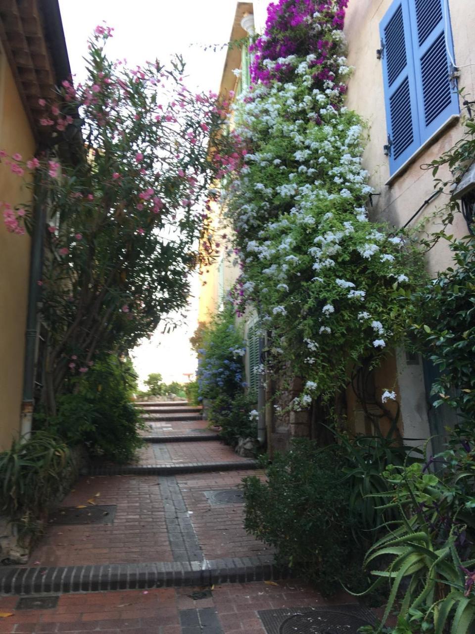 Studio Rue Du Bas Castelet Antibes
